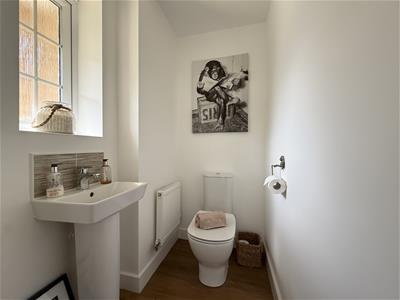 Picture 14
